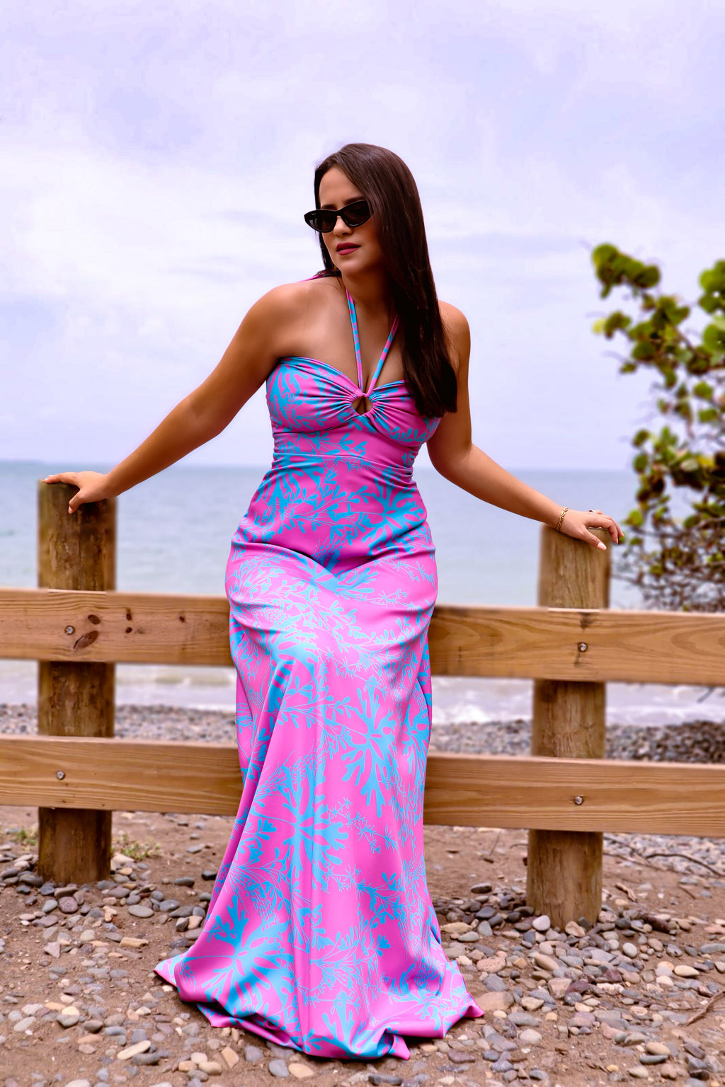 AME 284: Mar Rosado Maxi Dress