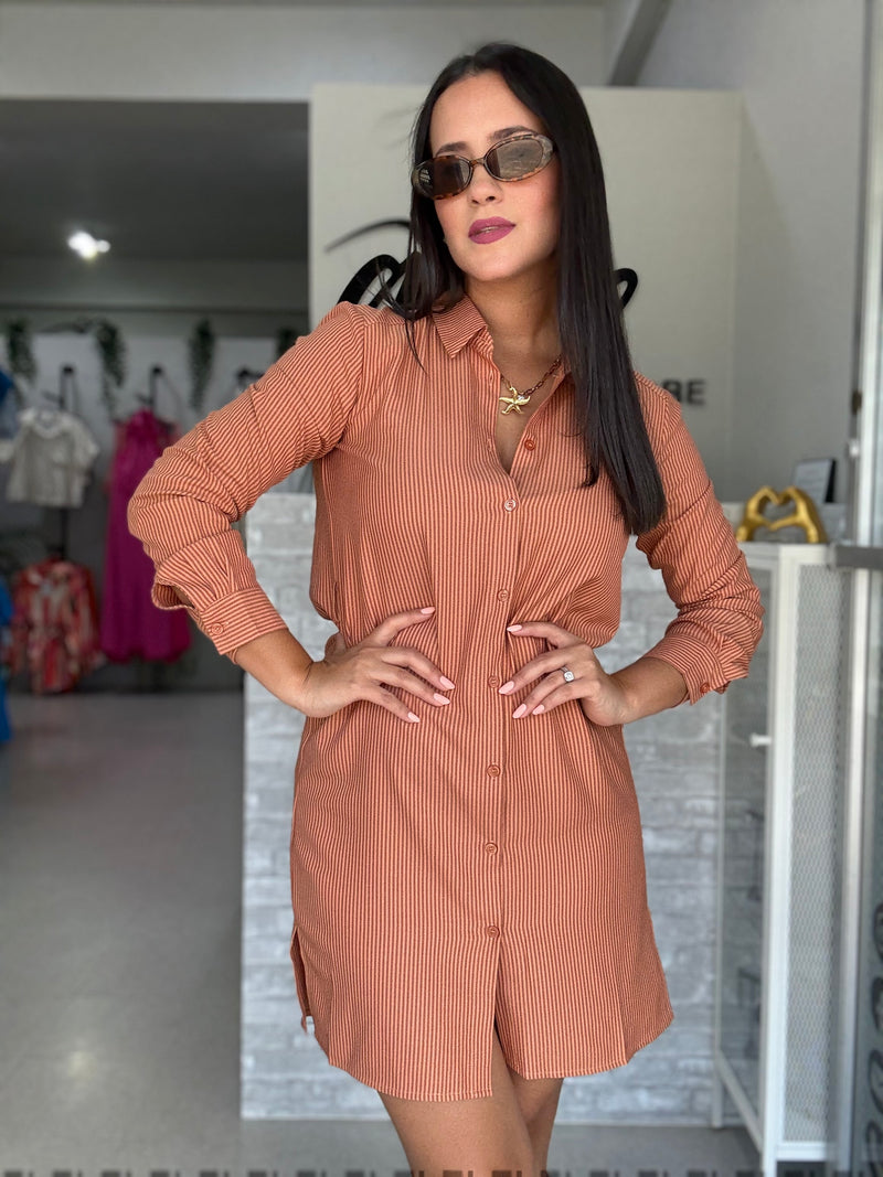 Brown Stripes Dress