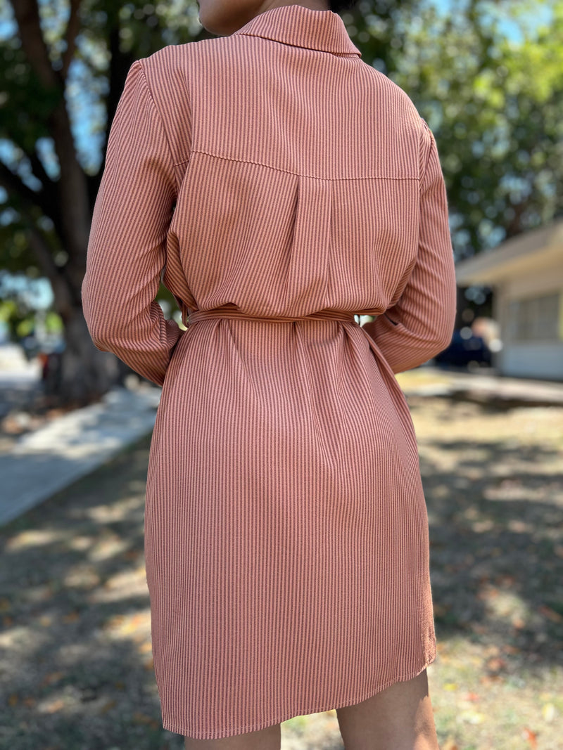 Brown Stripes Dress