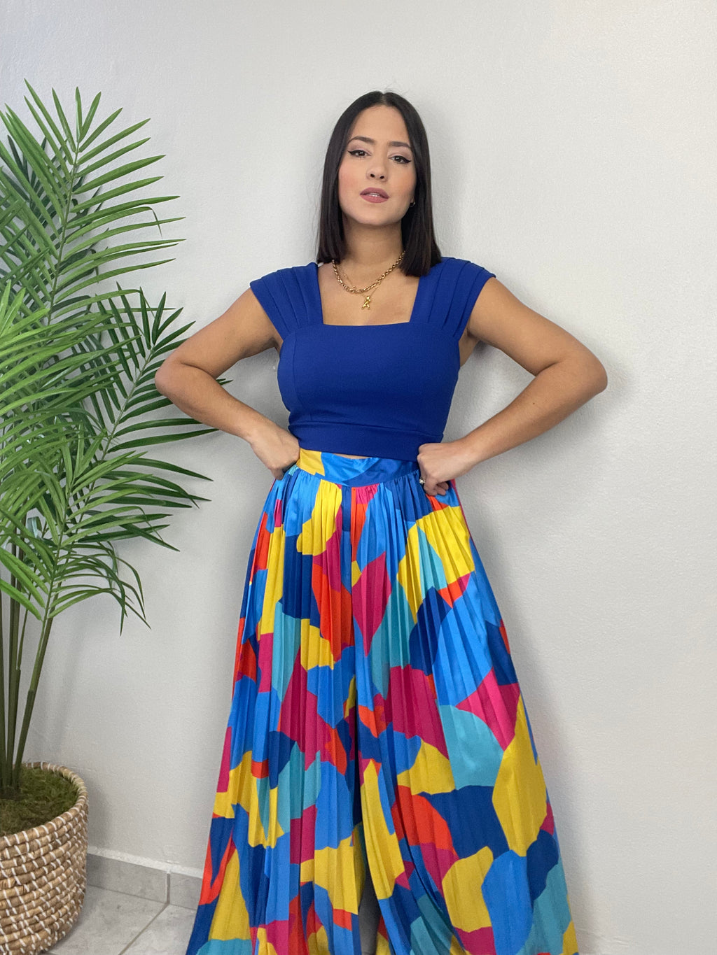 Multicolor Pleated Palazzo