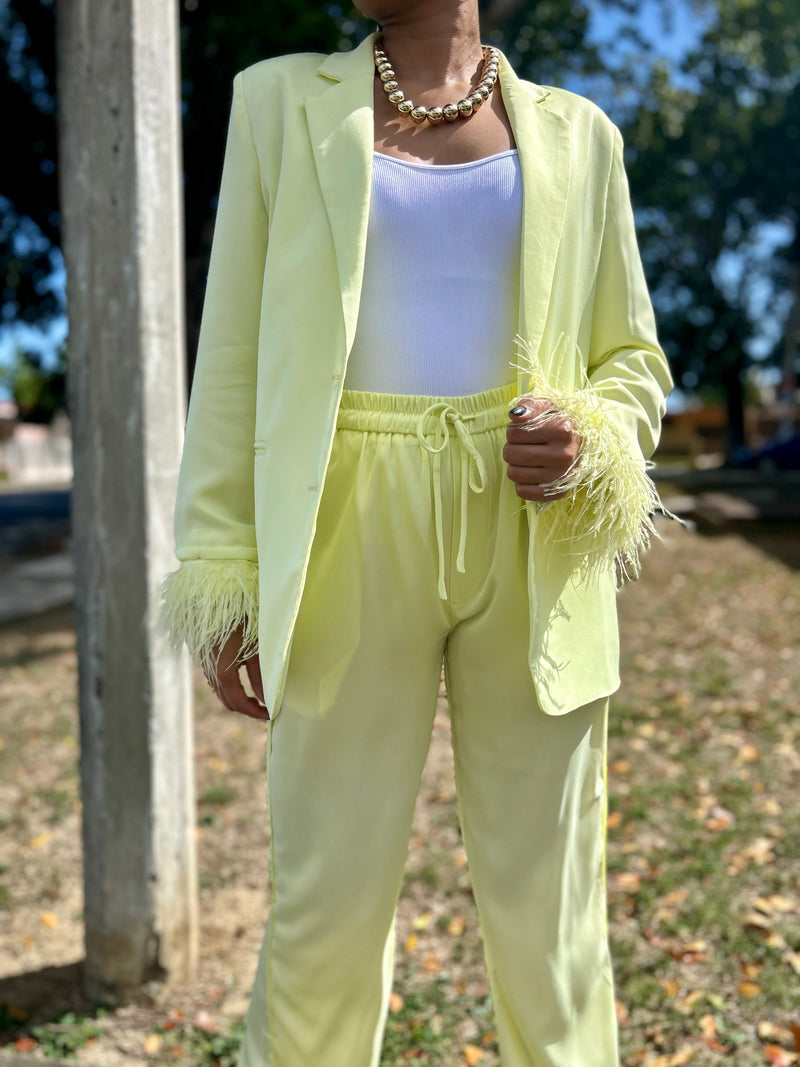 Lime Ice Feathers Blazer