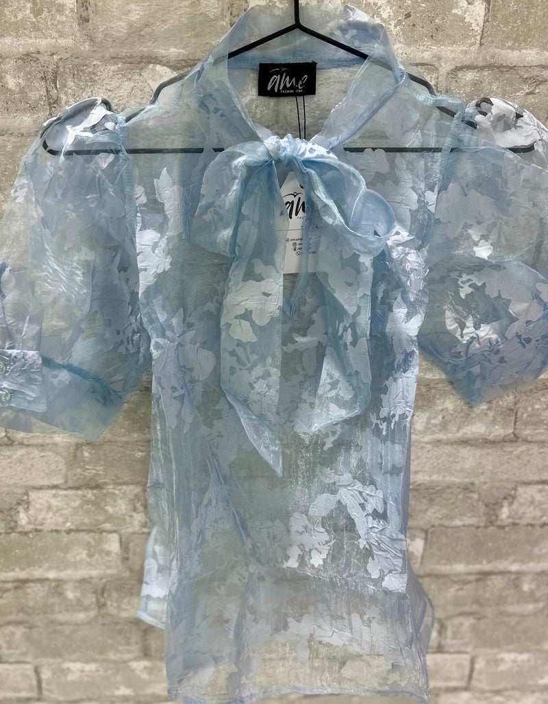 Baby Blue Organza Top